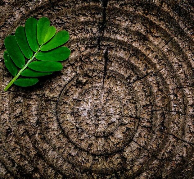 Growing significance of the employer brand