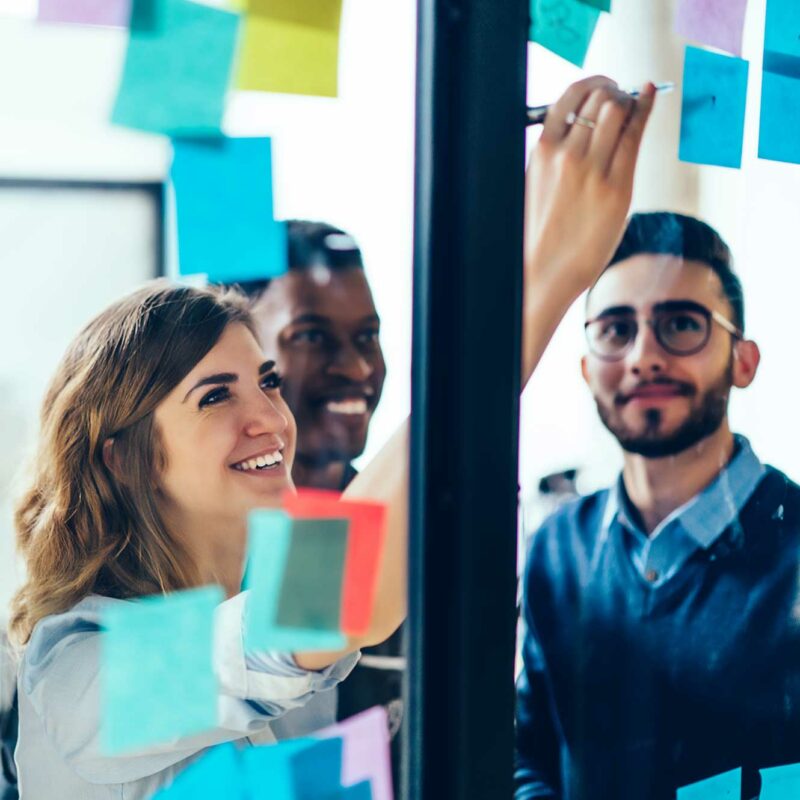 The HR ecosystem - TalentAdore